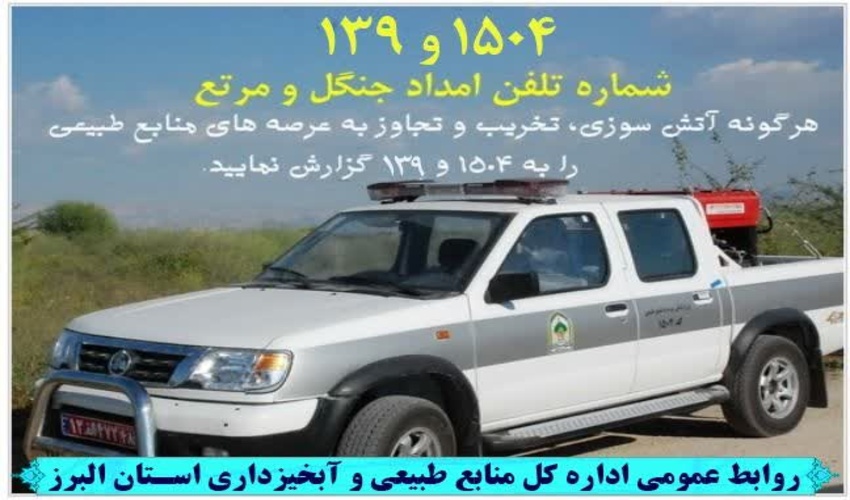 کشف محموله قاچاق چوب تاغ در  شهرستان اشتهارد 