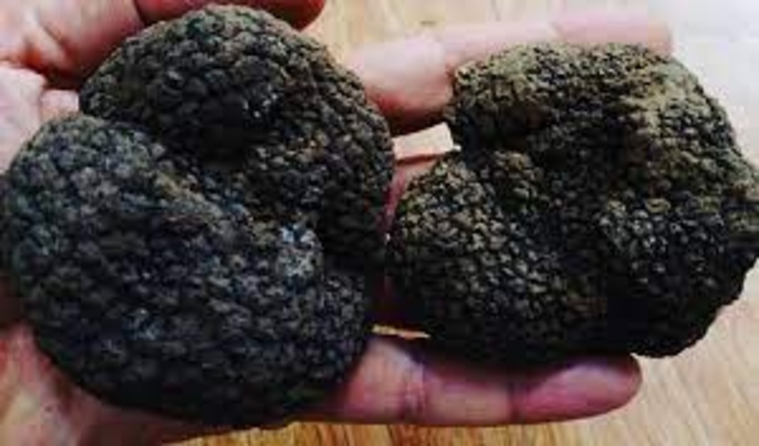 رعایت عفاف و حجاب یک وظیفه شرعی ,قانونی و انسانی است