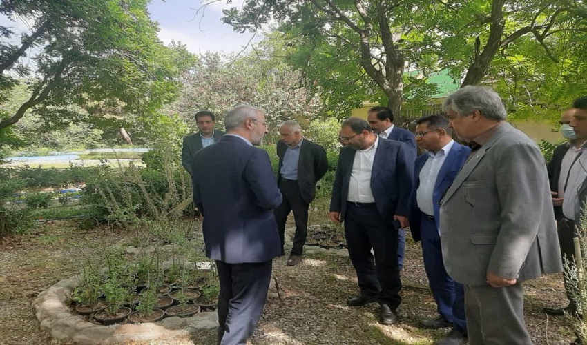 اجرای عملیات نهالکاری در قالب طرح مردمی کاشت یک میلیارد درخت در استان البرز کلید خورد