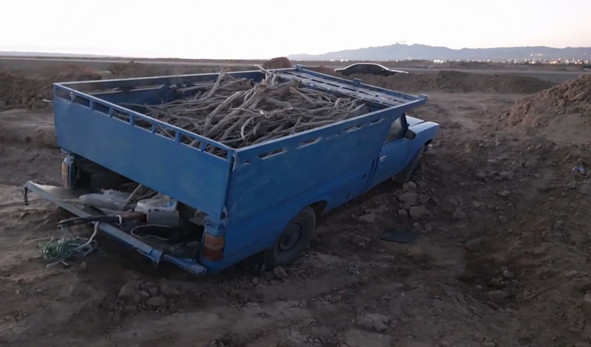 قاچاقچی چوب تاغ در شهرستان اشتهارد دستگیر شد