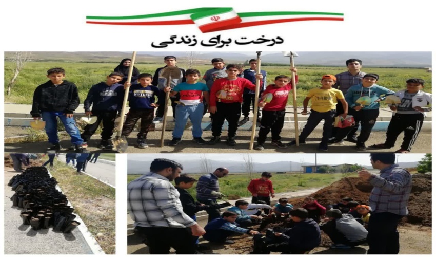  مدیر کل منابع طبیعی و آبخیزداری در صدور پیامی درگذشت برادر استاندار البرز را تسلیت گفت