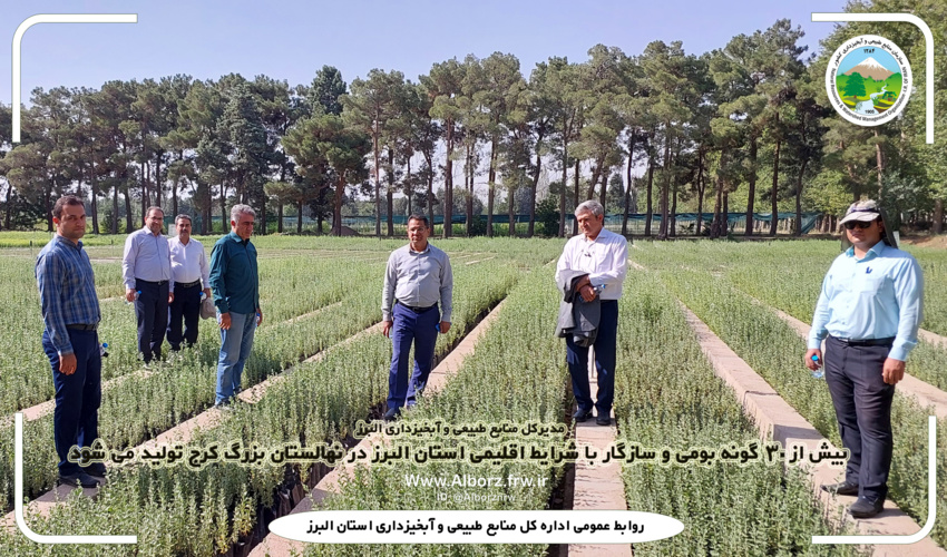 بیش از ۳۰ گونه بومی و سازگار با شرایط اقلیمی استان البرز در نهالستان بزرگ کرج تولید می شود