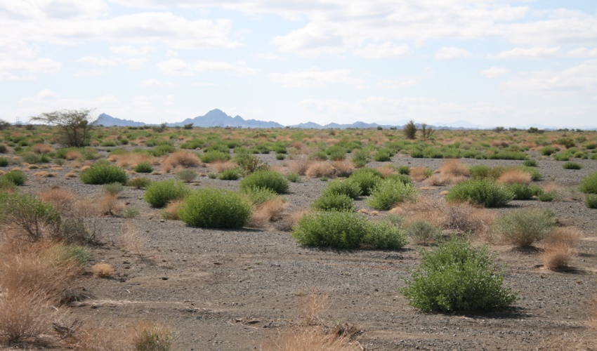 اداره منابع طبیعی و آبخیزداری اشتهارد اطفاء حریق را در تاغزارهای این شهرستان تمرین کرد