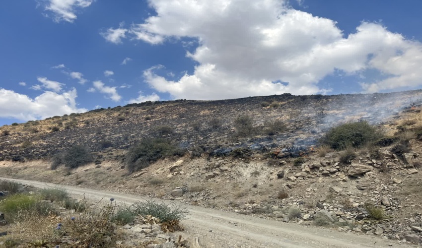 حریق در مراتع روستای آسفاران به طور کامل اطفا شد