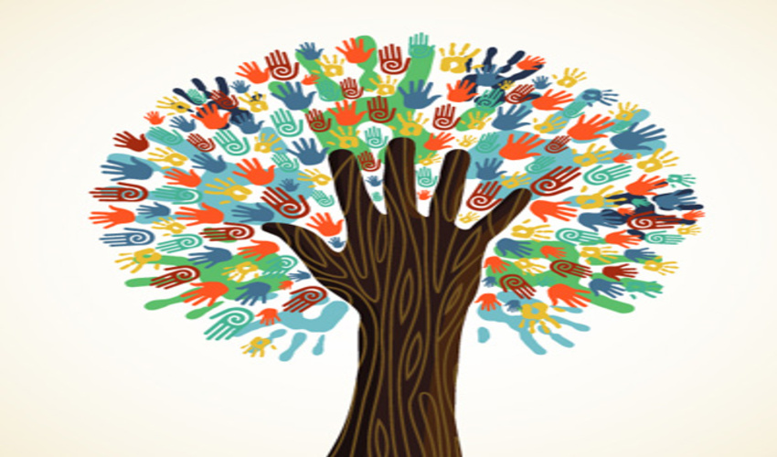 مدیرکل منابع طبیعی و آبخیزداری البرز در پیامی روز ملی تشکلها و مشارکتهای اجتماعی را تبریک گفت