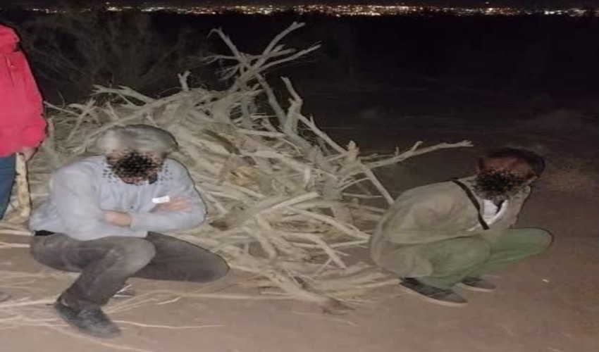 دستگیری قاچاقچیان کهنه کار چوب در شهرستان اشتهارد 