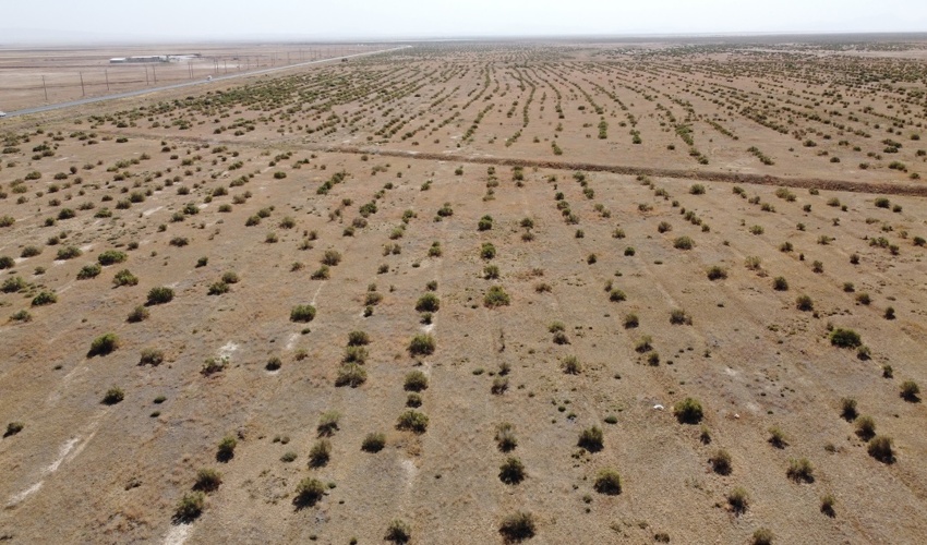 میز خدمت اداره منابع طبیعی و آبخیزداری شهرستان اشتهارد در مصلی نماز جمعه برپا شد 