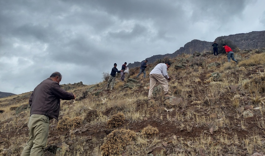 اجرای عملیات بذرپاشی در 30 هکتار از مراتع روستای میر شهرستان طالقان 