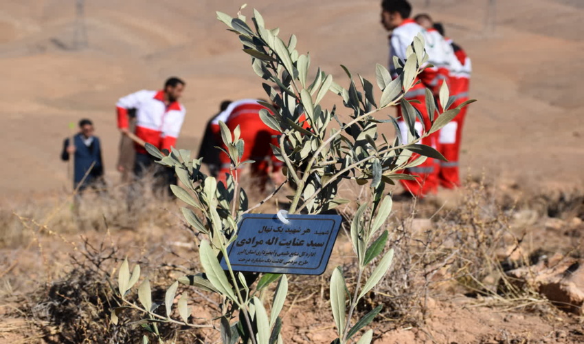 آغاز کاشت سه هزار اصله نهال به یاد شهدای محور مقاومت در البرز