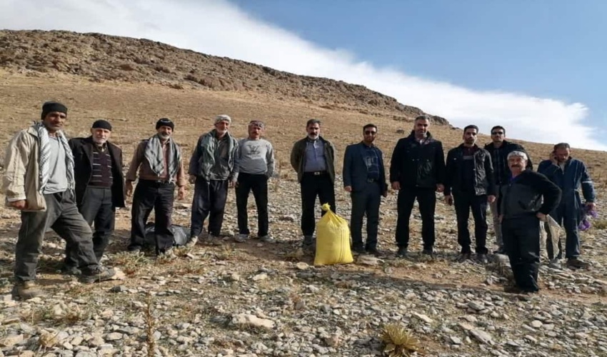 سرپرست اداره استعدادیابی و بهره برداری منابع طبیعی اداره کل منابع طبیعی و آبخیزداری استان البرز منصوب شد