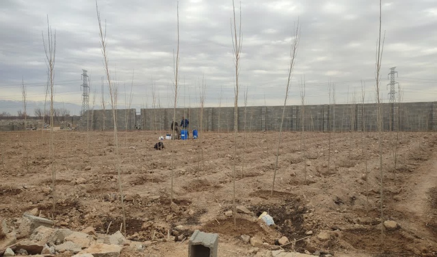 طرح مردمی کاشت یک میلیارد درخت یک طرح اساسی، جهادی و بی سابقه 