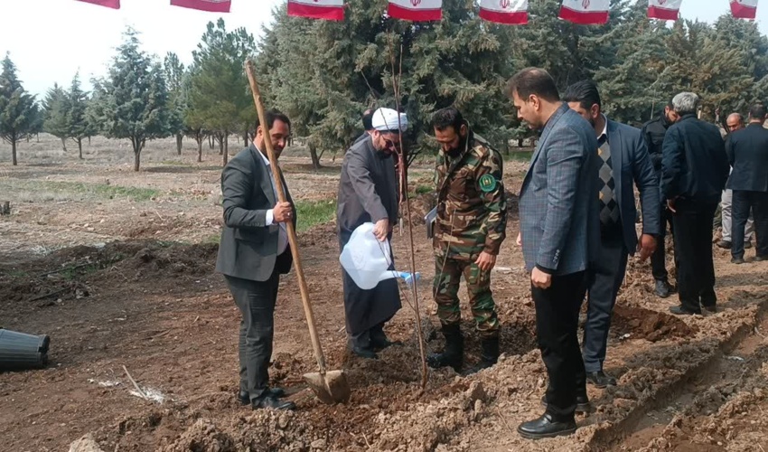 در ساوجبلاغ به یاد هر شهید، یک درخت کاشته شد 