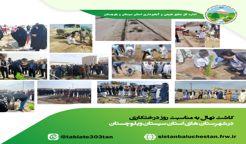 کنترل پروانه چرای دام و ساماندهی کوچ کم هزینه ترین پروژه برای حفظ و صیانت از پوشش گیاهی مراتع 