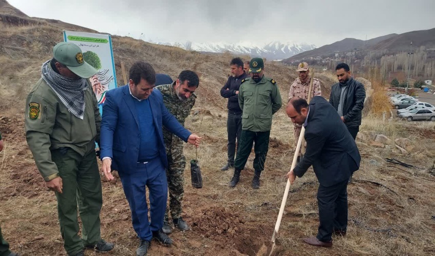 طالقان-عمل به شعار هر ایرانی ۳ درخت نمایانگر نظم و همدلی مردم ایران است