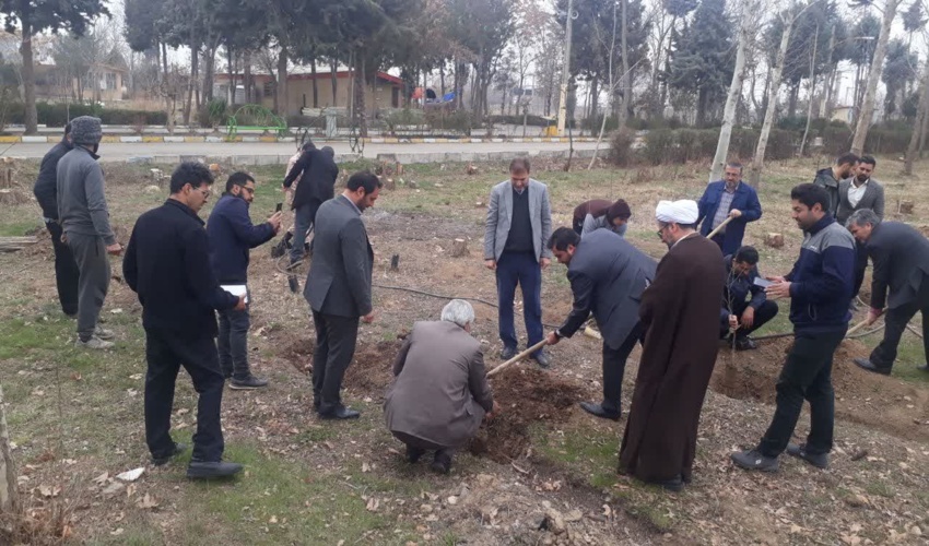 درخت داری مهم تر از درختکاری است 