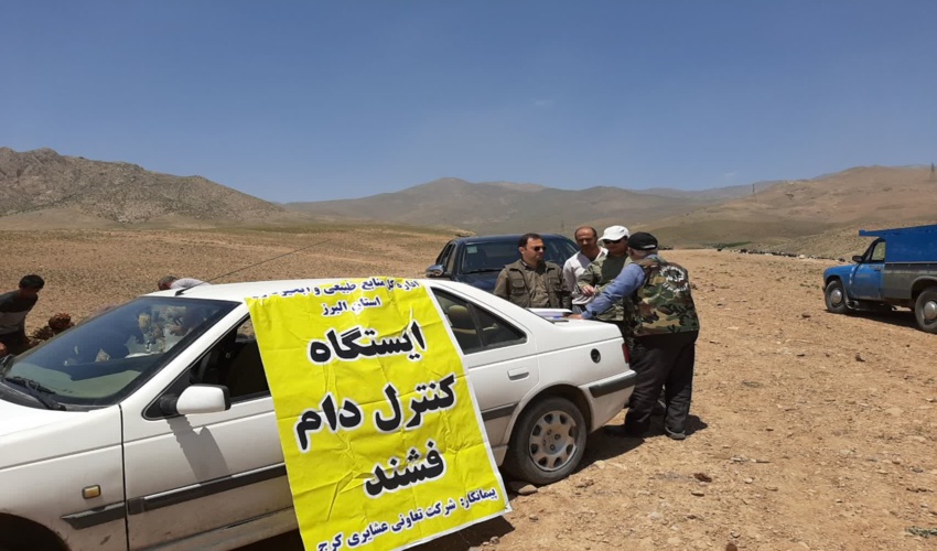 از  ابتدای سال جاری 45 هزار واحد دامی مجوز عبور به سمت مراتع را دریافت کرده اند 