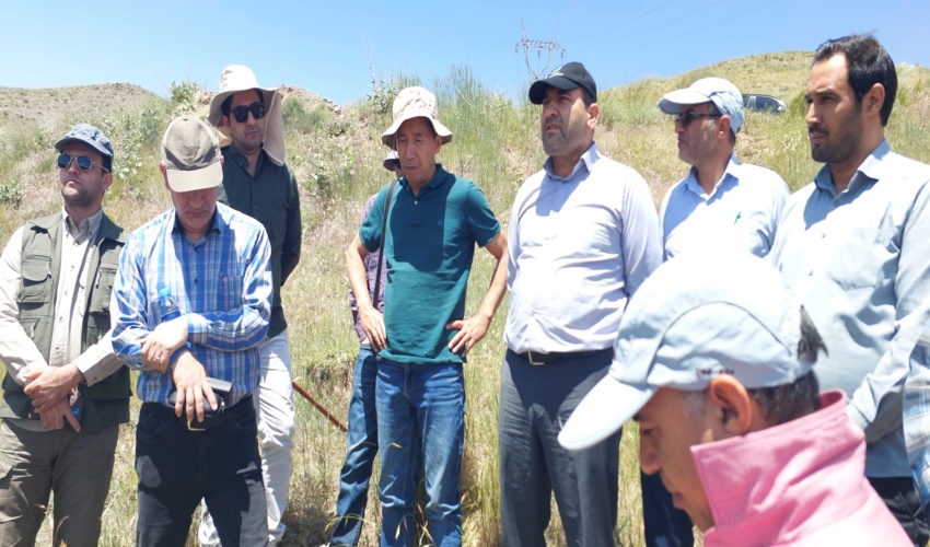 بازدید پژوهشگران و محققان بین‌المللی از اقدامات آبخیزداری و بیابان زدایی در استان البرز