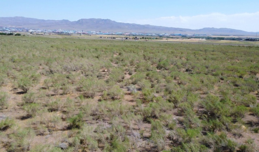 تثبیت  کانونهای ریزگرد استان البرز با اقدامات بیولوژیک موفق