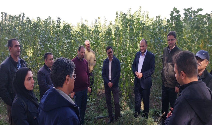 بازدید رئیس مرکز جنگل‌های خارج از شمال از نهالستان بزرگ کرج در راستای طرح کاشت یک میلیارد درخت
