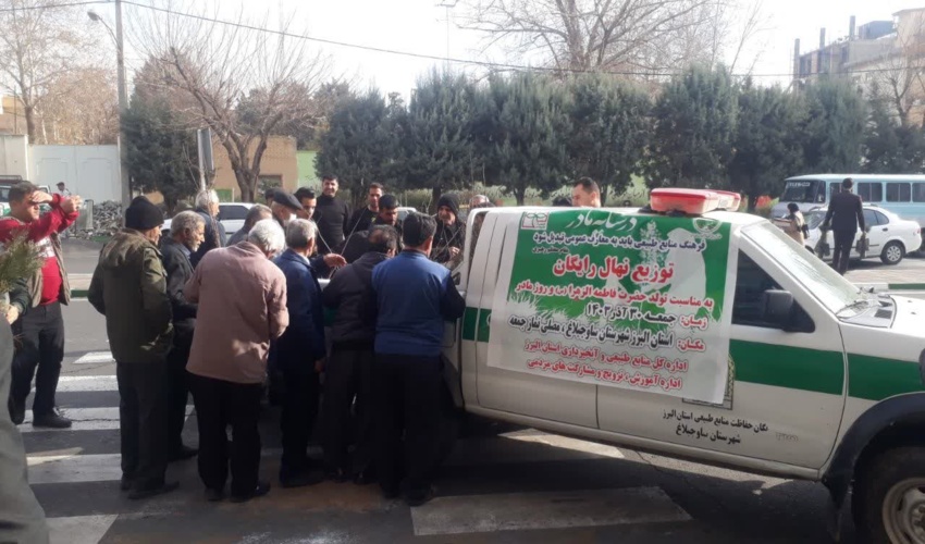 آغاز توزیع بیش از یک میلیون نهال در البرز