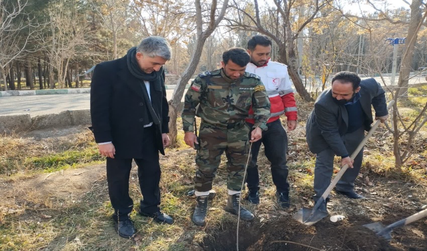 پویش «نهالکاری به نام پدر» در اشتهارد برگزار شد