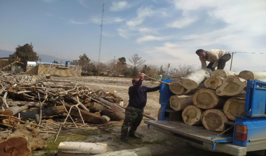 کشف و توقیف محموله چوب‌آلات غیرمجاز در محور قزوین - تهران