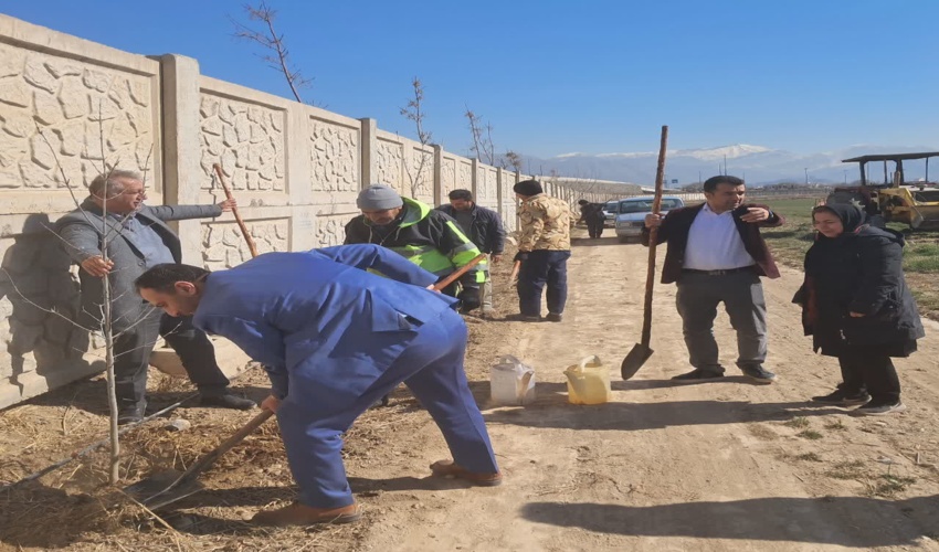 آماده سازی برای کاشت ۶۰۰۰ اصله نهال در مزرعه آموزشی پردیس کشاورزی دانشگاه تهران