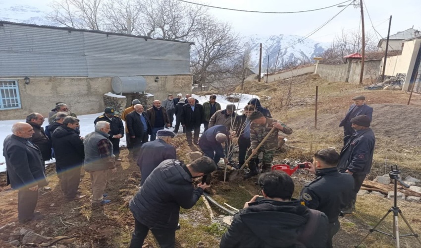 نهالکاری در روستای لهران از توابع  شهرستان طالقان به مناسبت آغاز هفته منابع طبیعی و ماه رمضان 