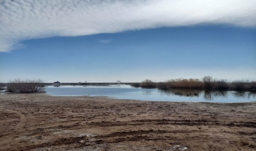 تالاب صالحیه، مرداب به گِل نشسته