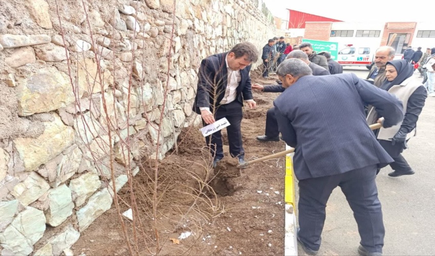 مراسم درختکاری در مدرسه شهید بهشتی طالقان با حضور دانش‌آموزان برگزار شد