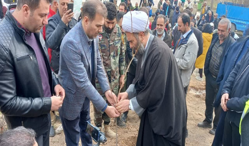 کاشت ۶۵۰۰ اصله نهال در ساوجبلاغ و شهر جدید مهستان همزمان با هفته منابع طبیعی