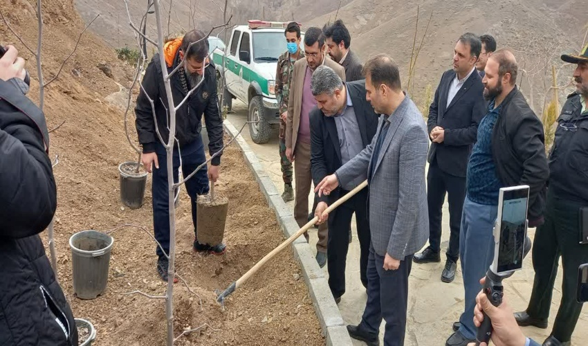 مراسم درختکاری در مجتمع سلامت و گردشگری محب برگزار شد