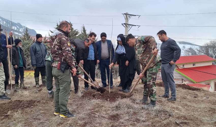 نهالکاری در روستای هرنج طالقان؛ تجلی مشارکت مردمی در حفظ منابع طبیعی