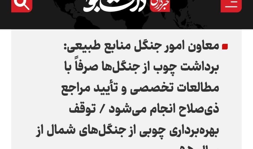 دانشجو