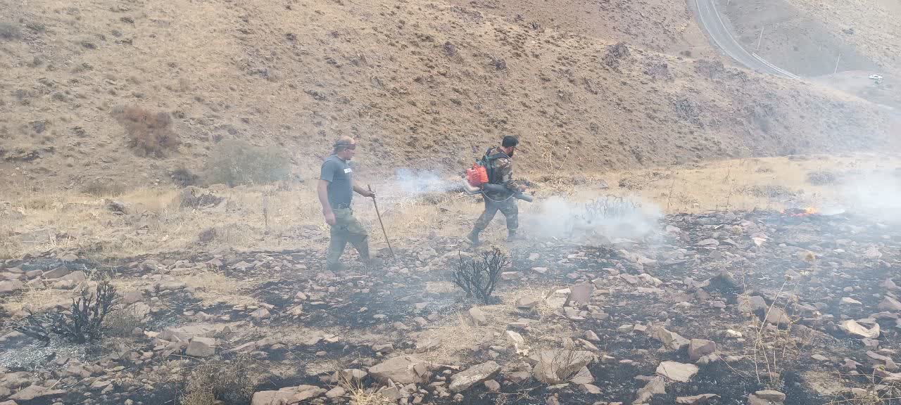 آتش‌سوزی صعب‌العبور وشگین در شهرستان ساوجبلاغ توسط یگان حفاظت منابع طبیعی اطفا شد